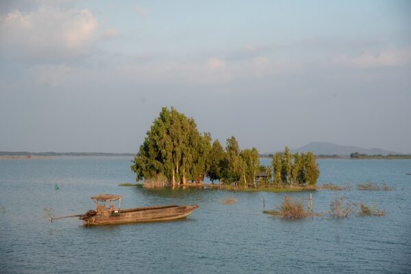 G8a24802731997866a1c83055f6e0b1fd4c43ab4779ff03f4a83cdcd3c138dffc1f4900b1b638d67c9c02f9945da64ee3ecfca5e875f7af51ee4129c7e05908ca 640