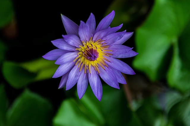 G9dc69b1114c788453e39a983030d29d71b5a4faf44a44ad637552c4627b9d0912af52ef7d5a22ae1f61324f21350e19834375798b9635c2879e846e70ca77380 640